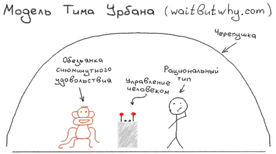 TimUrbanModel.png